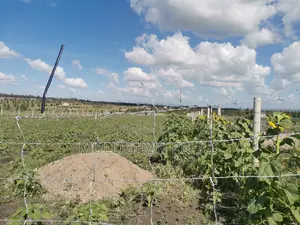 Half Acre NSSF Plots Sabaki on the Top Behind Signature Mall