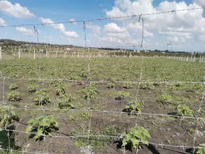Half Acre NSSF Plots Sabaki on the Top Behind Signature Mall
