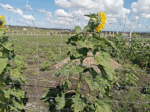Half Acre NSSF Plots Sabaki on the Top Behind Signature Mall - thumbnail 6