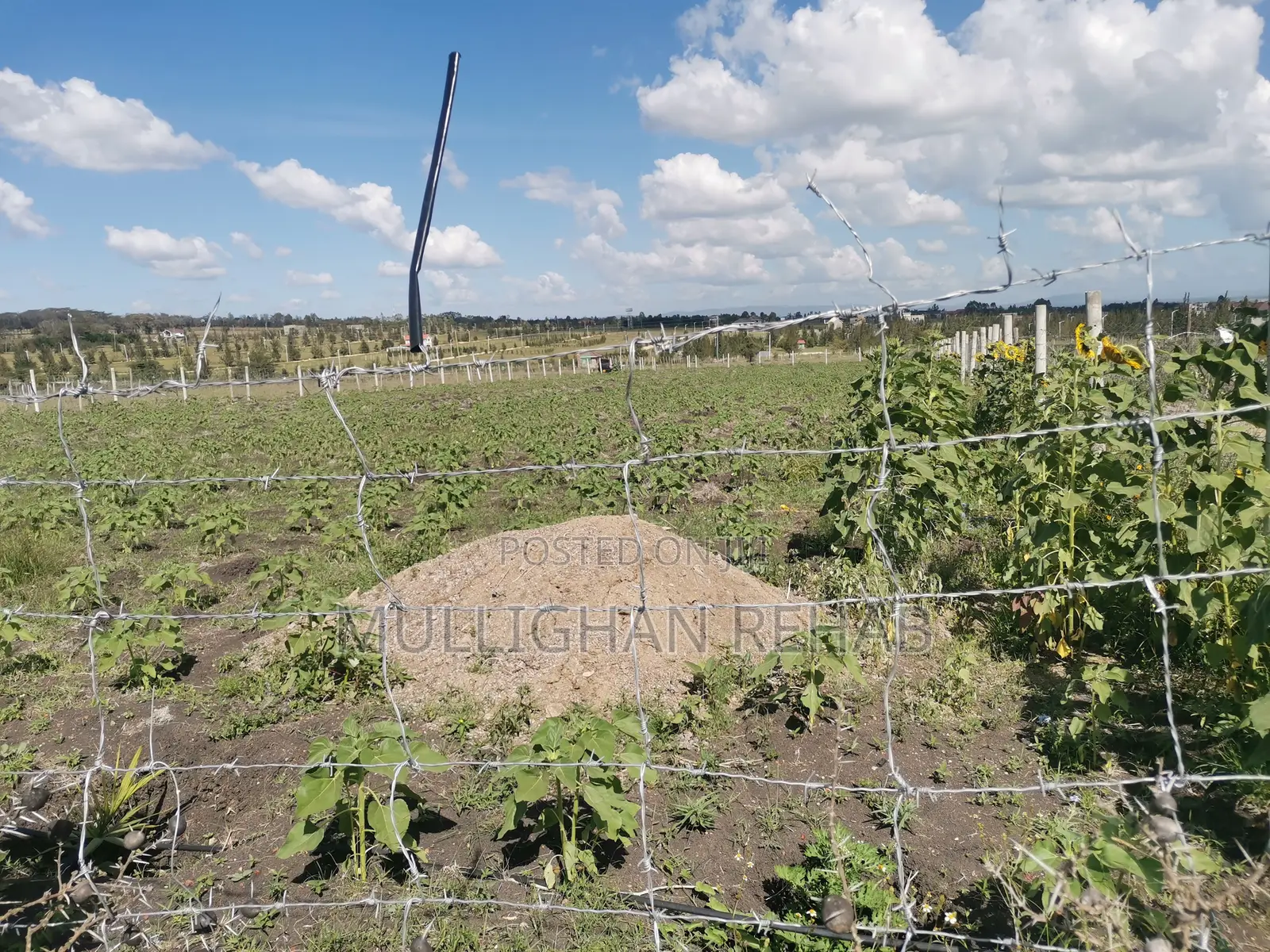 Half Acre NSSF Plots Sabaki on the Top Behind Signature Mall