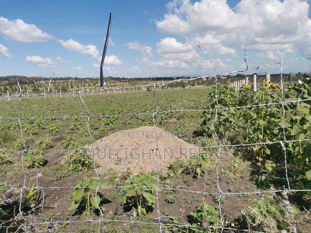Half Acre NSSF Plots Sabaki on the Top Behind Signature Mall - thumbnail 7