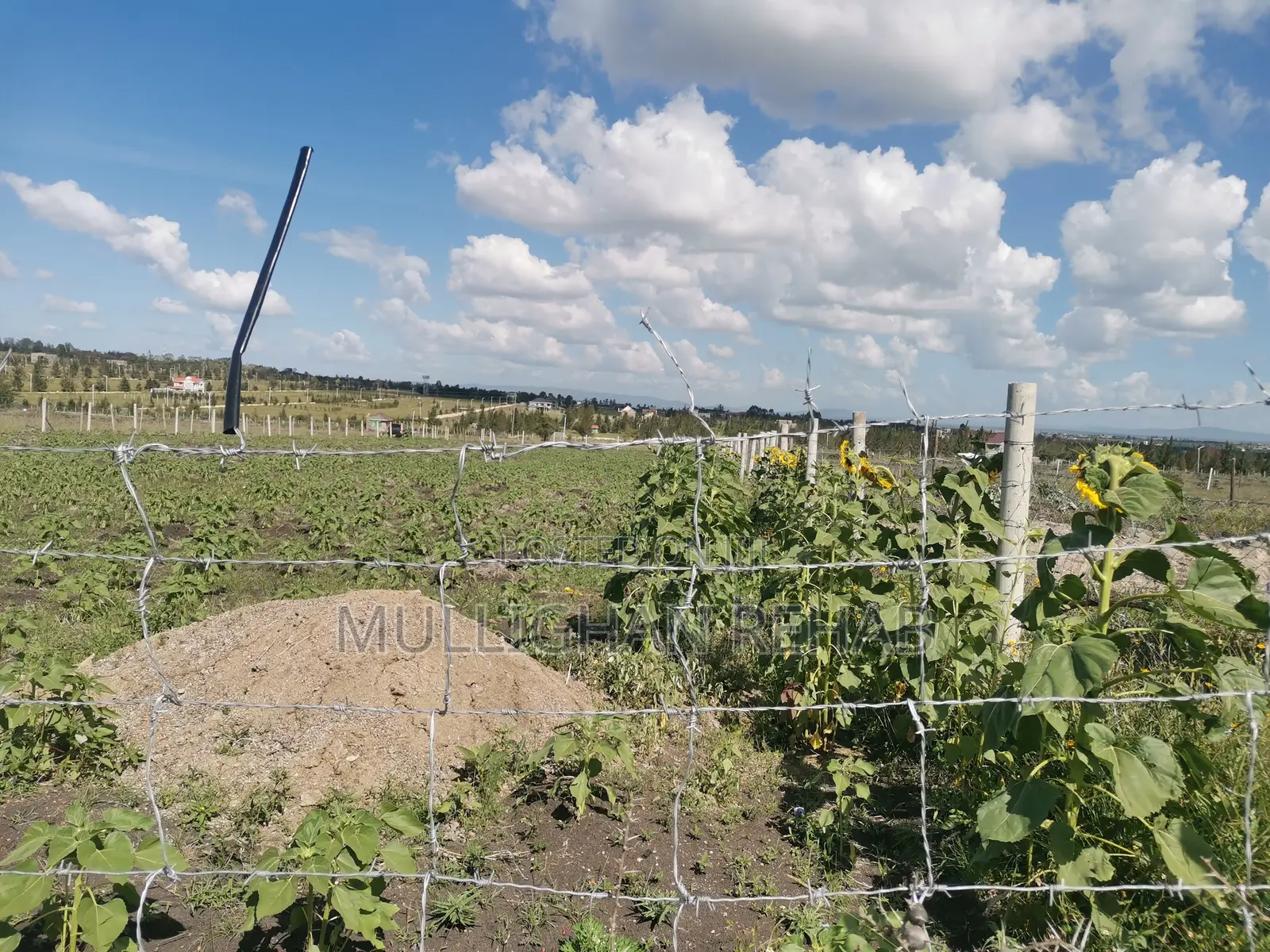 Half Acre NSSF Plots Sabaki on the Top Behind Signature Mall