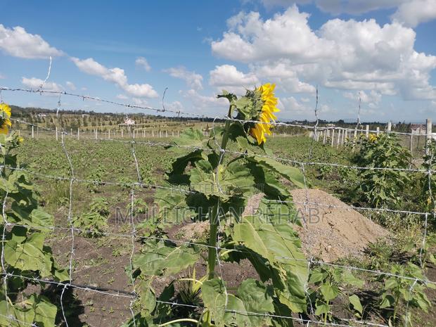 Half Acre NSSF Plots Sabaki on the Top Behind Signature Mall - thumbnail 10