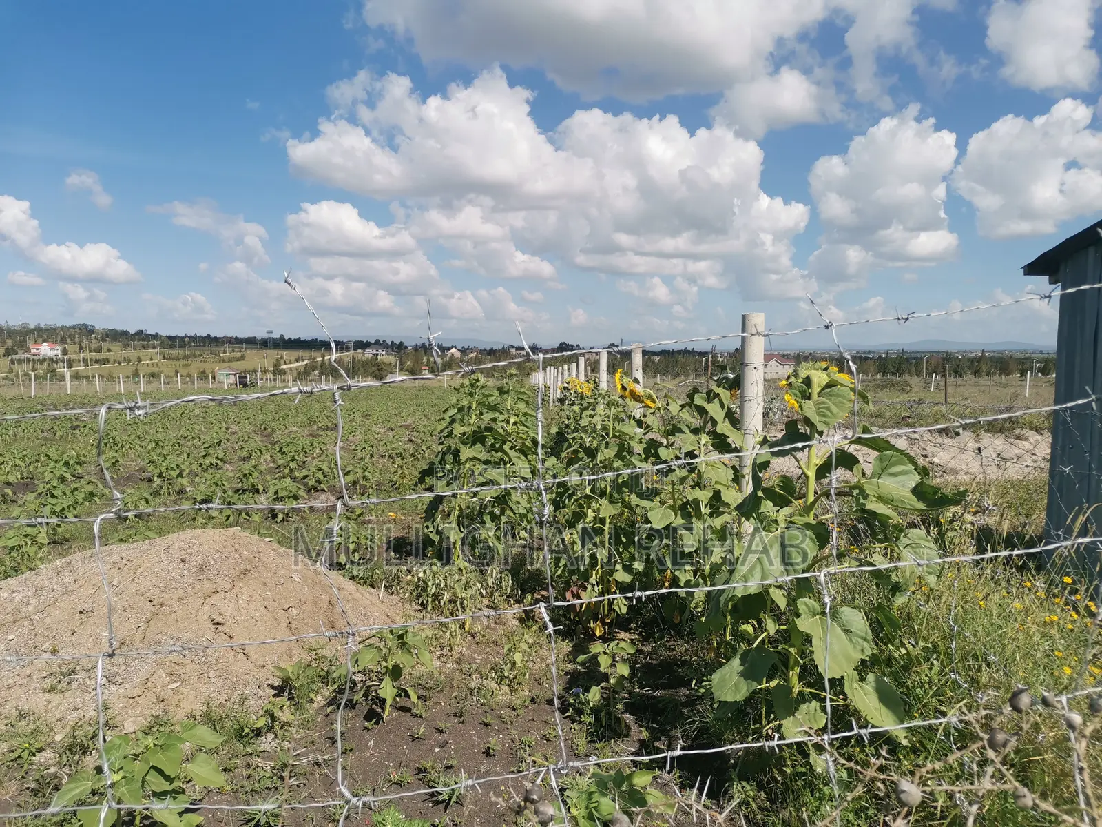 Half Acre NSSF Plots Sabaki on the Top Behind Signature Mall