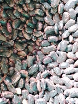 Scarlet Runner Bean - main view