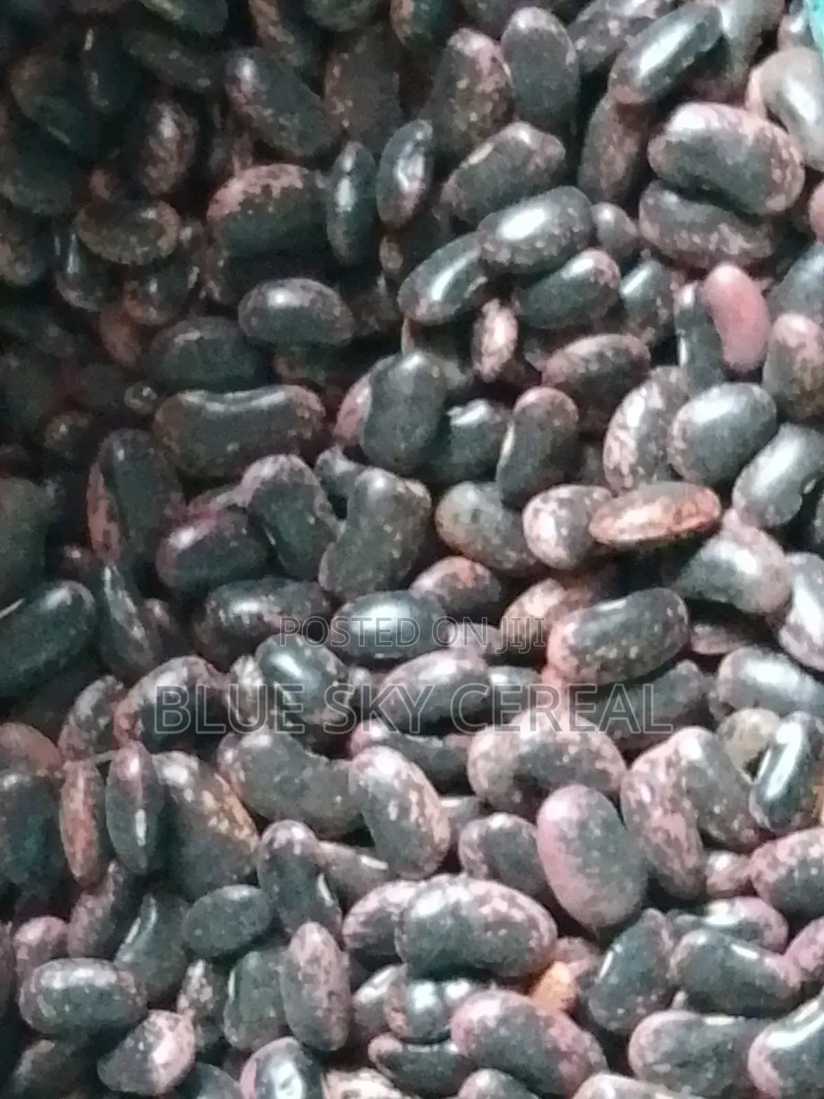 Scarlet Runner Bean