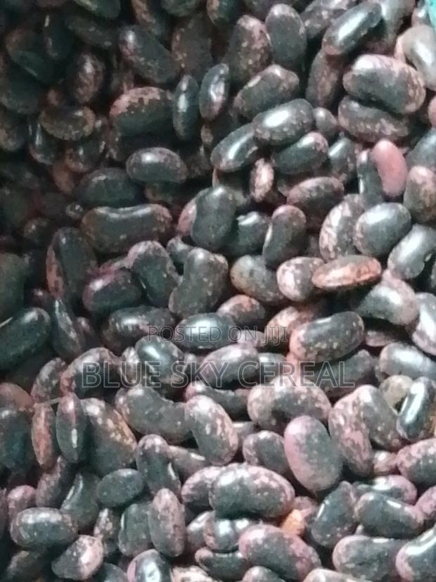 Scarlet Runner Bean - thumbnail 2