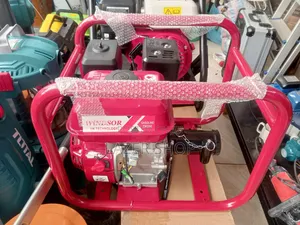 Windsor Vibrator+Poker
