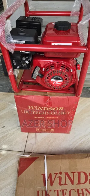 Windsor Vibrator+Poker