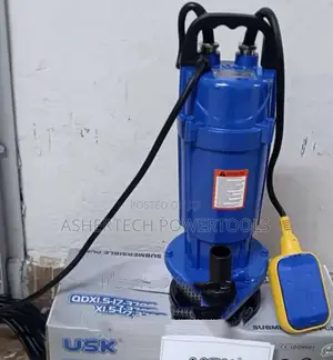 Usk Shallow Well Pump Qdx1.5-32-750f QDX-1hp