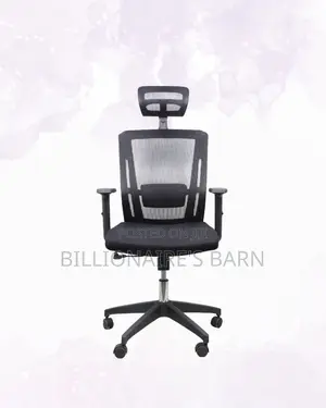 Ergonomic Work Chair for Home and Office | Executive , Cool Backrest