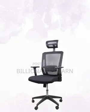 Ergonomic Work Chair for Home and Office | Executive , Cool Backrest