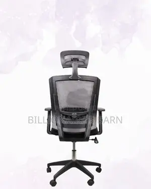 Ergonomic Work Chair for Home and Office | Executive , Cool Backrest