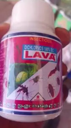 Lava Pest Control