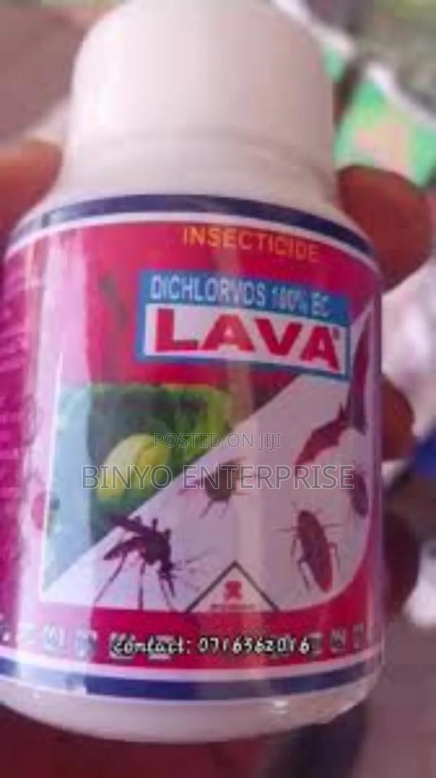 Lava Pest Control - main view