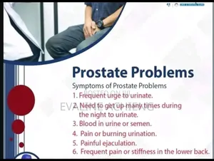 Prostatitis Syndrome