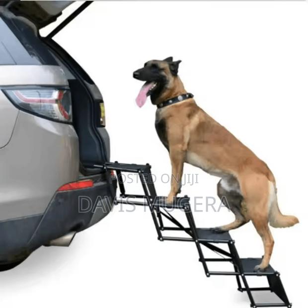 Foldable Lightweight Steel Dog Ladder - main view