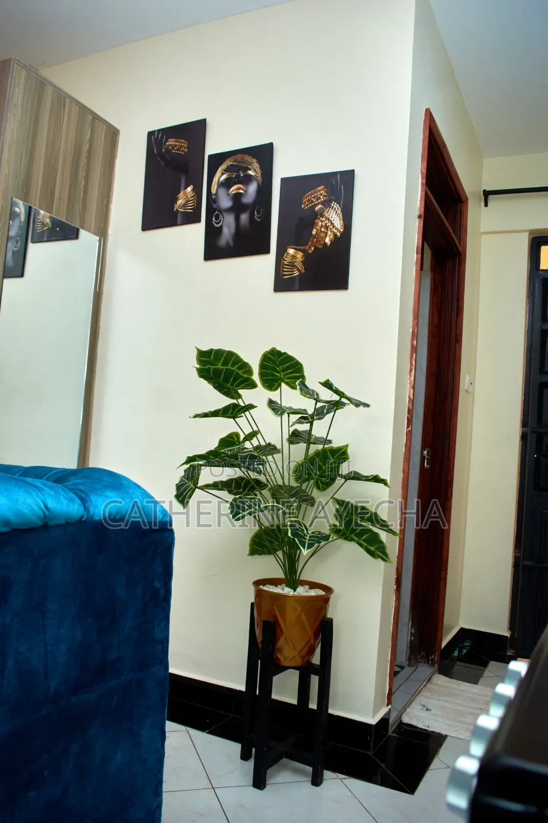 Voi Air BNB Luxury Apartment