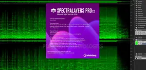 Steinberg Spectralayers 12