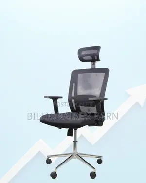 Headrest Office Chair for Long Workdays | Chrome Base Stability