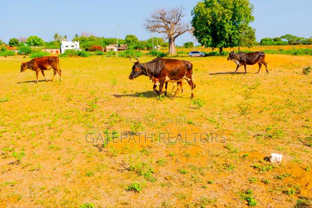 Commercial Plots In Malindi Gogogoni - thumbnail 3