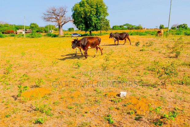 Commercial Plots In Malindi Gogogoni - thumbnail 4