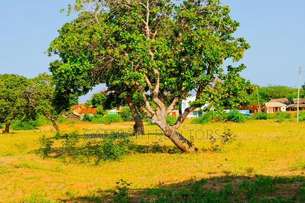 Commercial Plots In Malindi Gogogoni - thumbnail 8