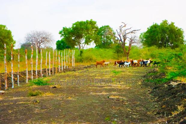 1/4 Acres In Malindi Kibaoni