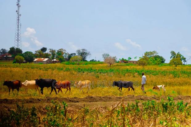 1/4 Acres In Malindi Kibaoni - thumbnail 4