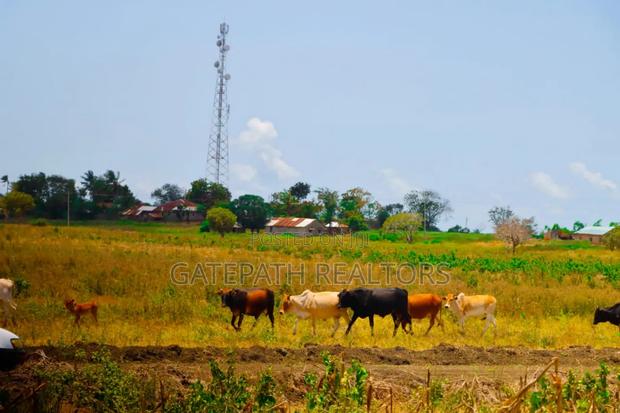 1/4 Acres In Malindi Kibaoni - thumbnail 5
