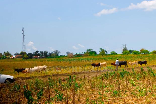 1/4 Acres In Malindi Kibaoni - thumbnail 7