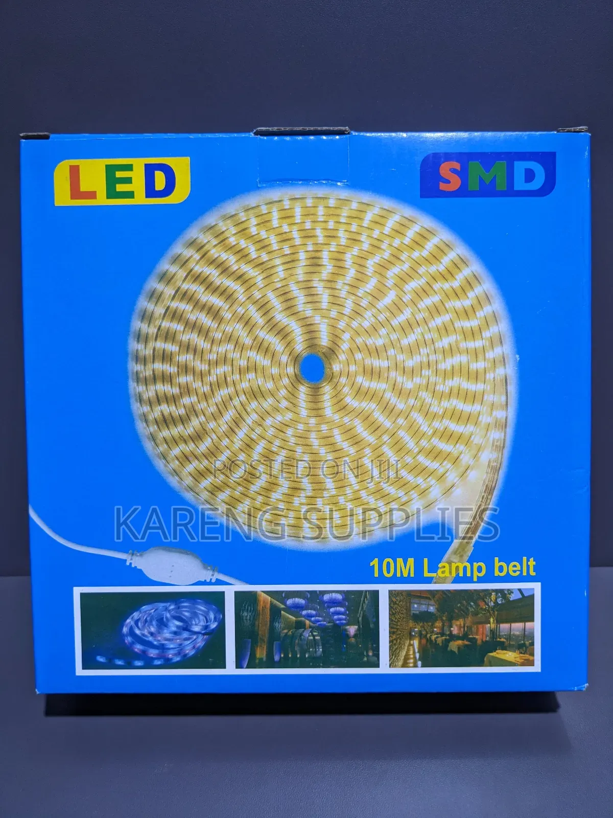 10m Led Snake Lights