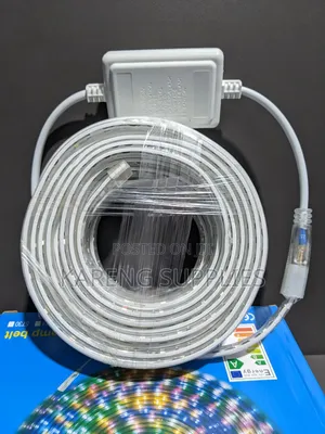 10m Led Snake Lights