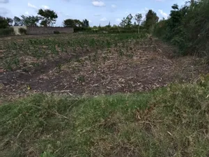 Prime 100by100 Plot-Ruai, 200m From Tarmac