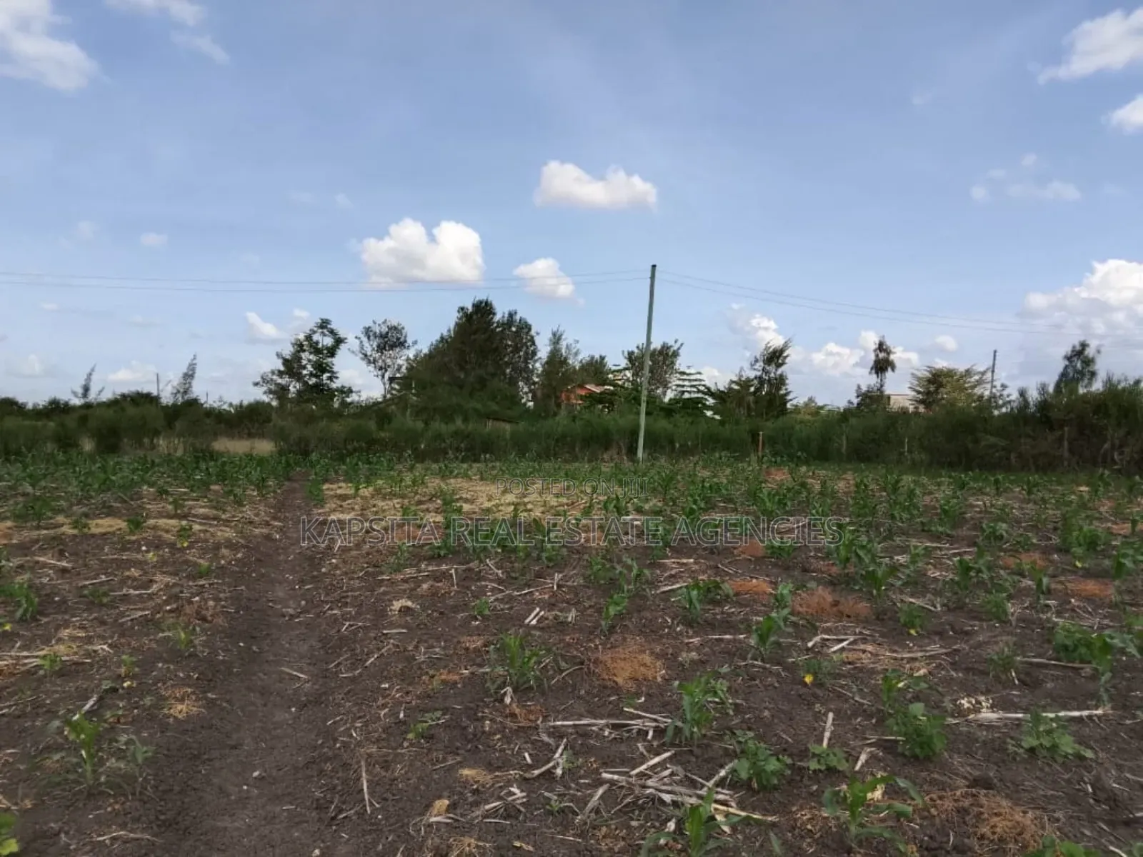 Prime 100by100 Plot-Ruai, 200m From Tarmac