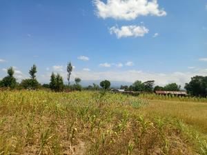 One Acre Behind Air Stip - thumbnail 2