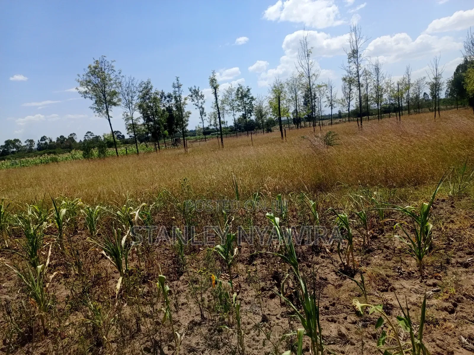 One Acre Behind Air Stip