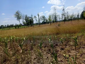 One Acre Behind Air Stip