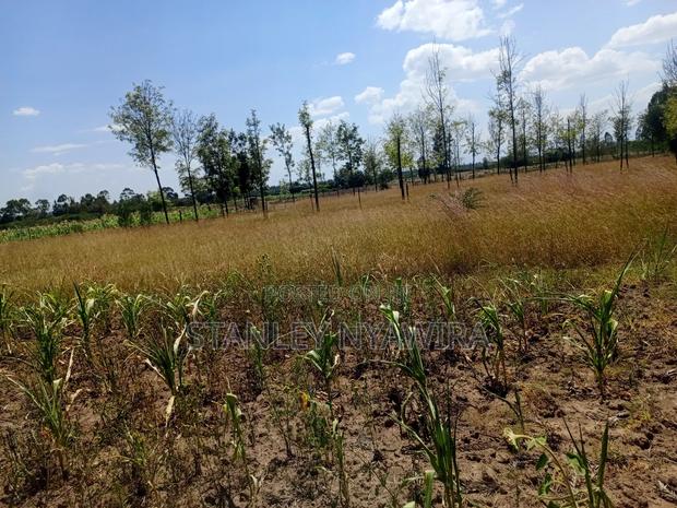 One Acre Behind Air Stip - thumbnail 4