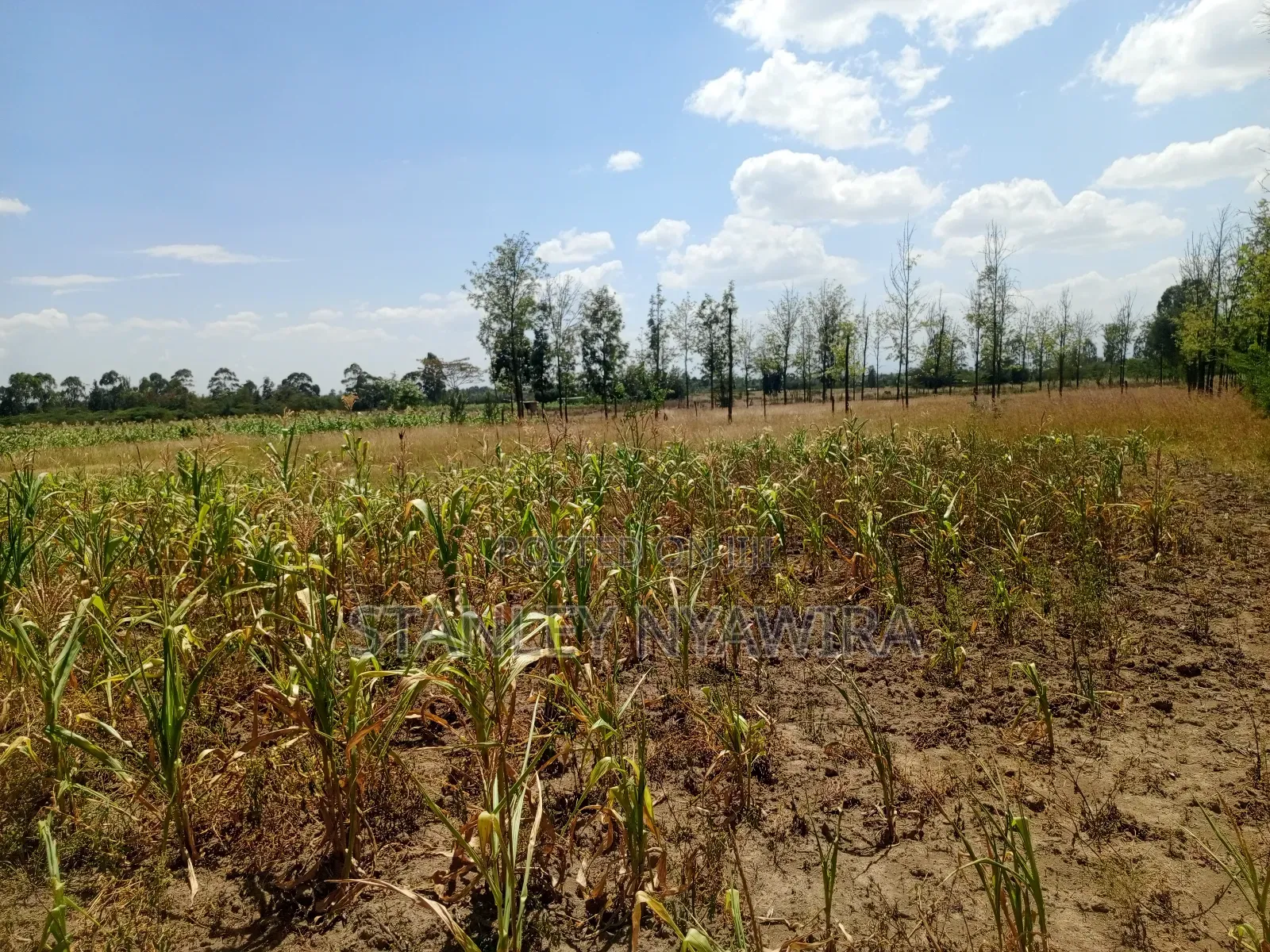 One Acre Behind Air Stip