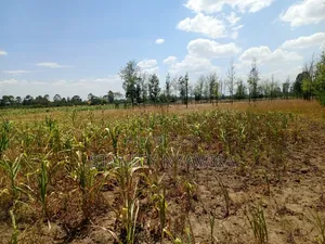 One Acre Behind Air Stip