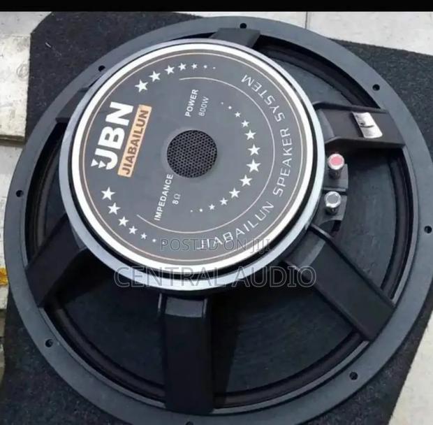 JBN 15inch Naked Speaker