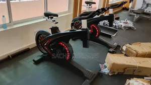 Commercial Magnetic Spin Bike