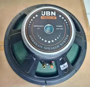 JBN 15inch Naked Speaker