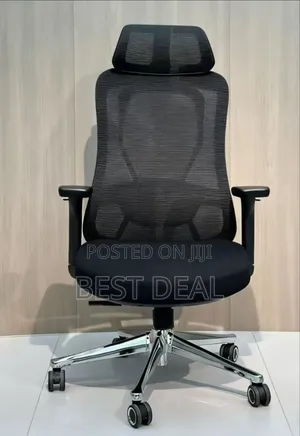 Ergonomic Chair