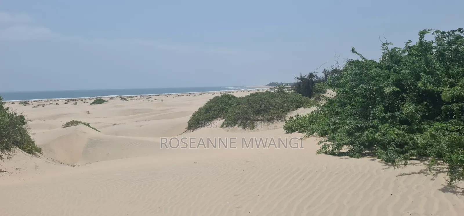 4 Acres for Sale at Mambrui Malindi
