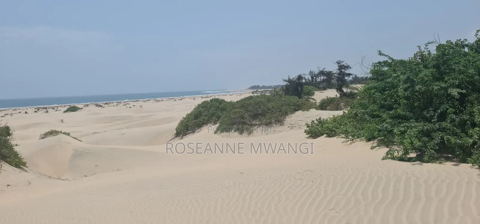 4 Acres for Sale at Mambrui Malindi