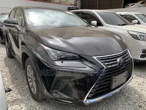 Lexus NX 300 AWD 2018 Black