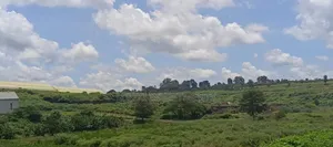 225 Acres on Sale at Thika Near Delmonte