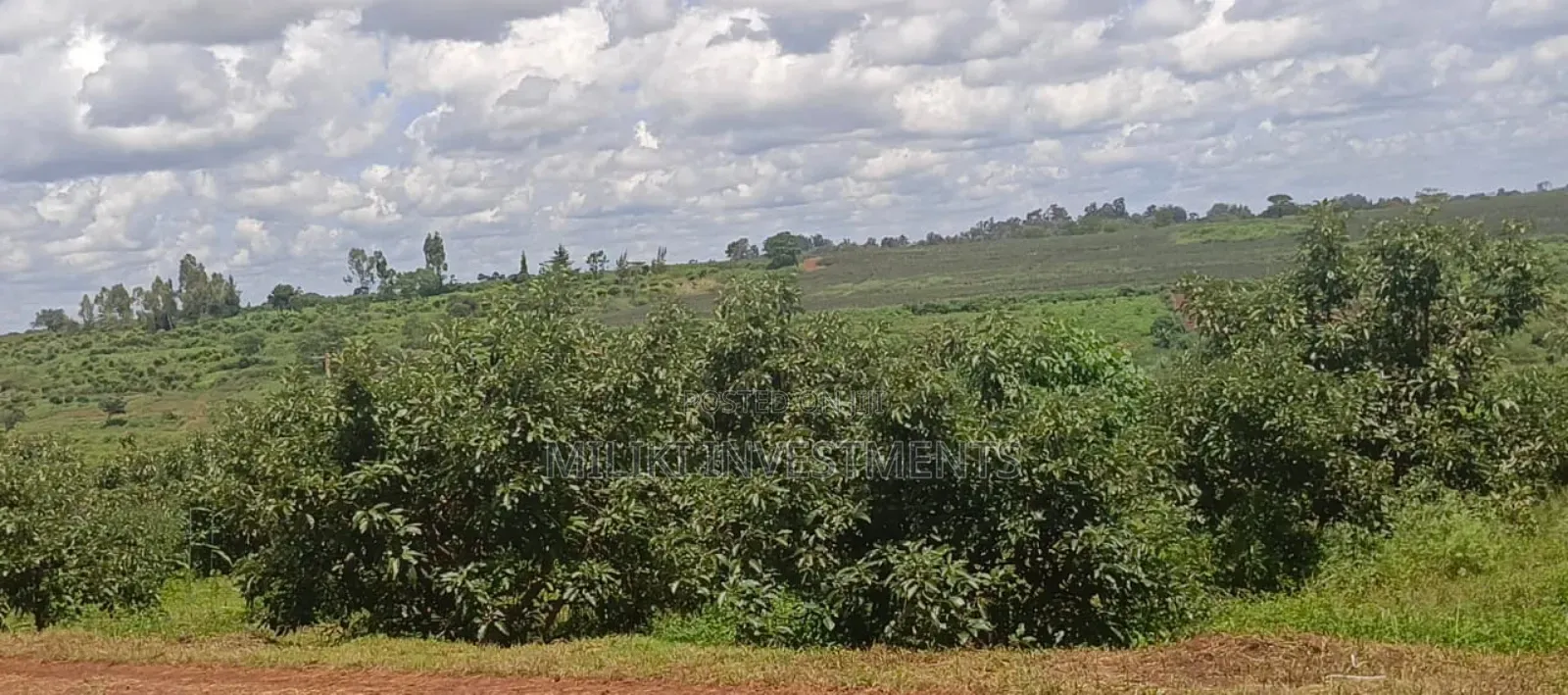 225 Acres on Sale at Thika Near Delmonte